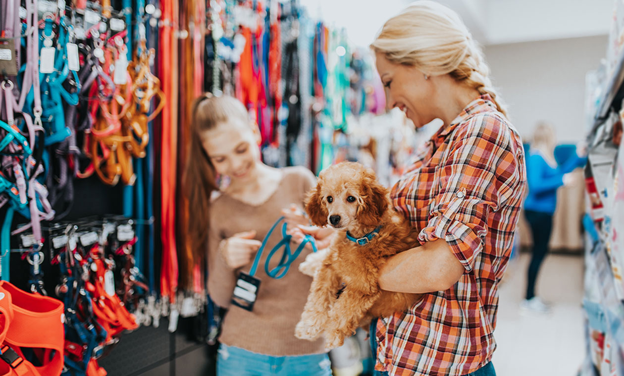 Pets at Home Princess Alice